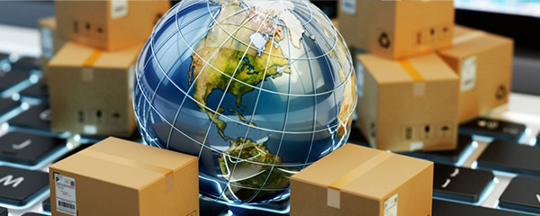 Procurement Services